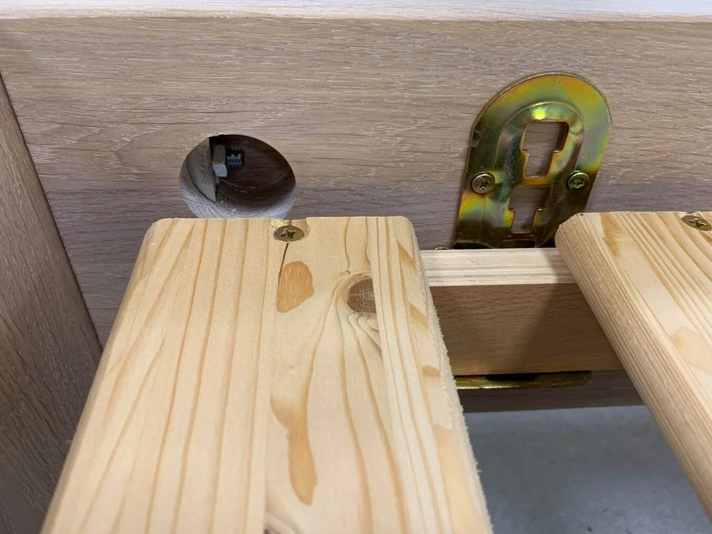 AMADEA II. - Dub průběžný