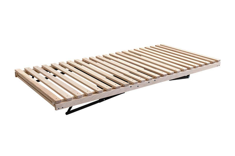 FAGUS LATT MOTOR RADIO