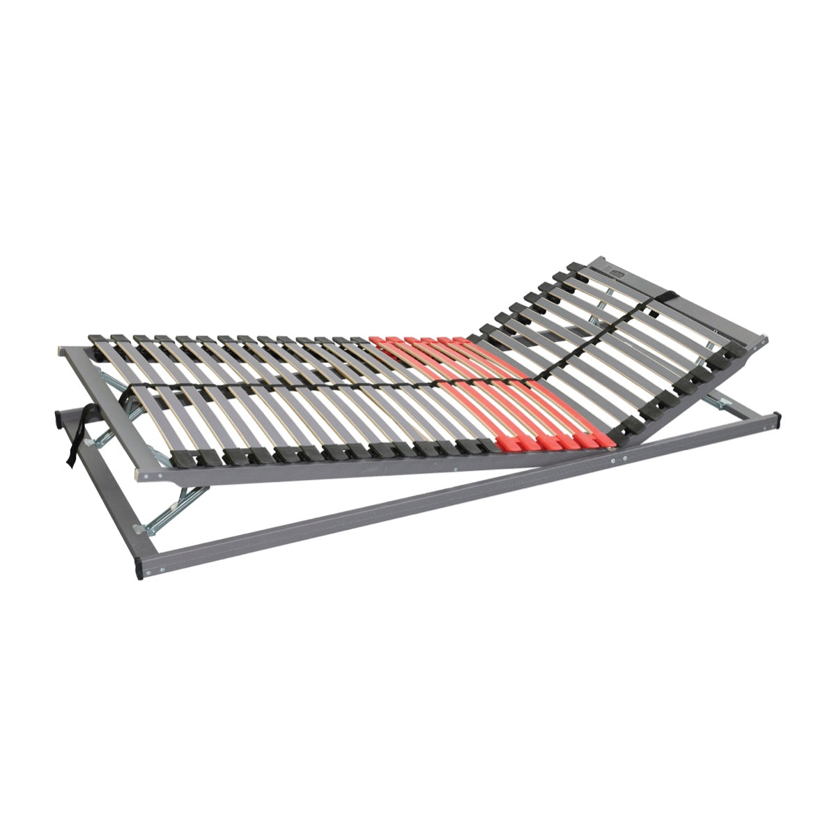 FLEX EXPERT R6