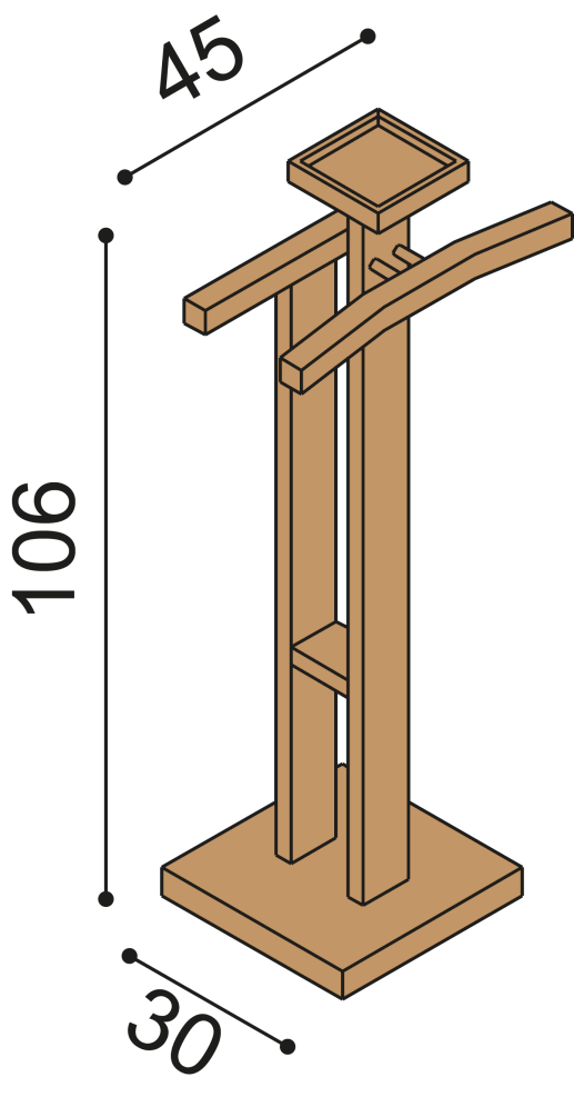 Němý sluha Ráchel