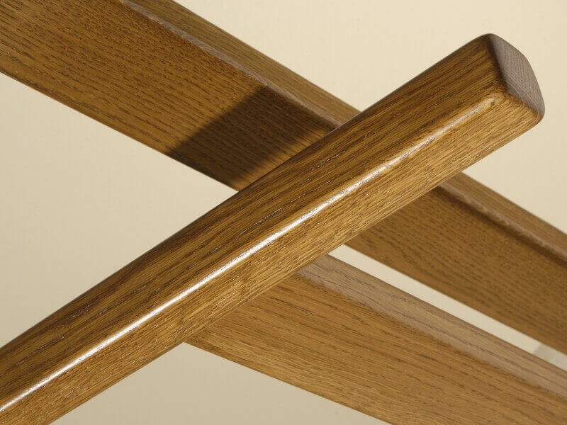 Němý sluha Ráchel